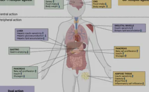 Tirzepatide Benefits: Weight Loss, Blood Sugar Control, and More